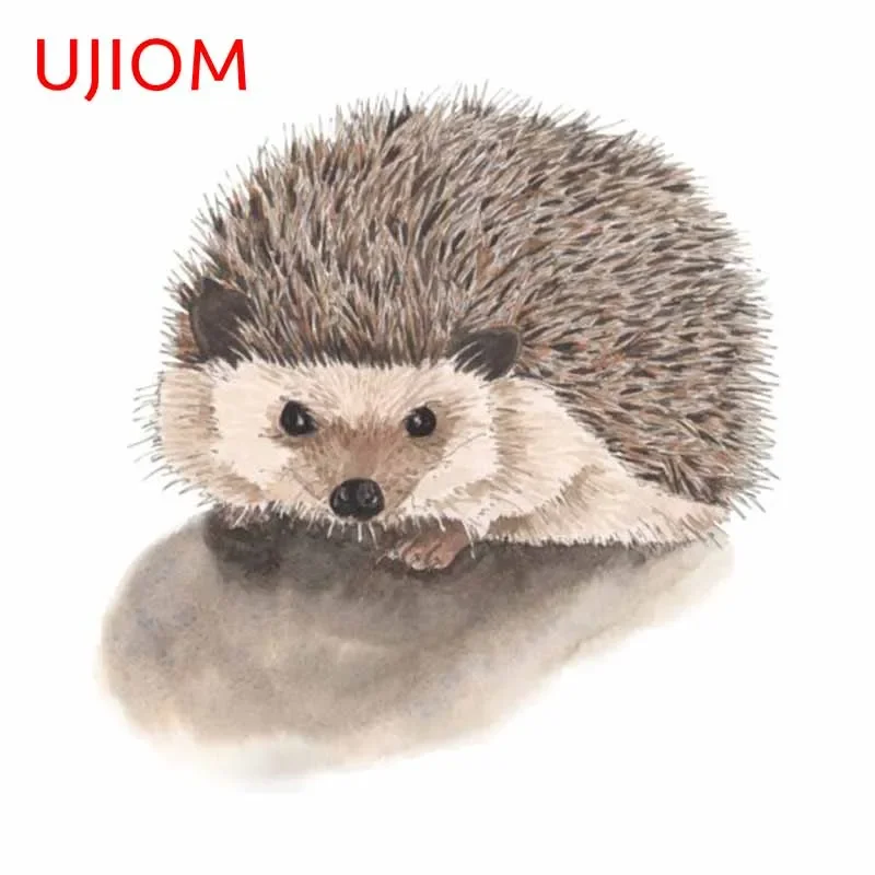 Baby Nursery Vinyl Wall Stickers - UJIOM 13cm stiker dinding lucu landak